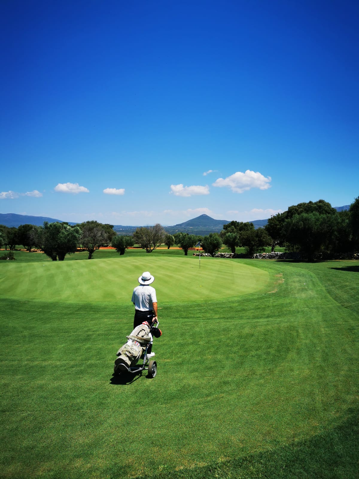 Golf kampovi Beograd